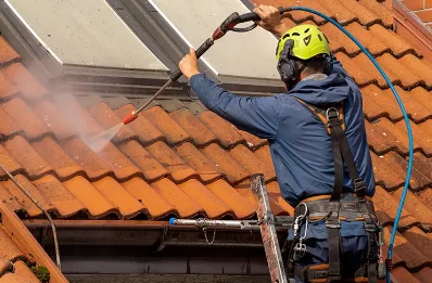 Démoussage et hydrofuge de toiture à Ger